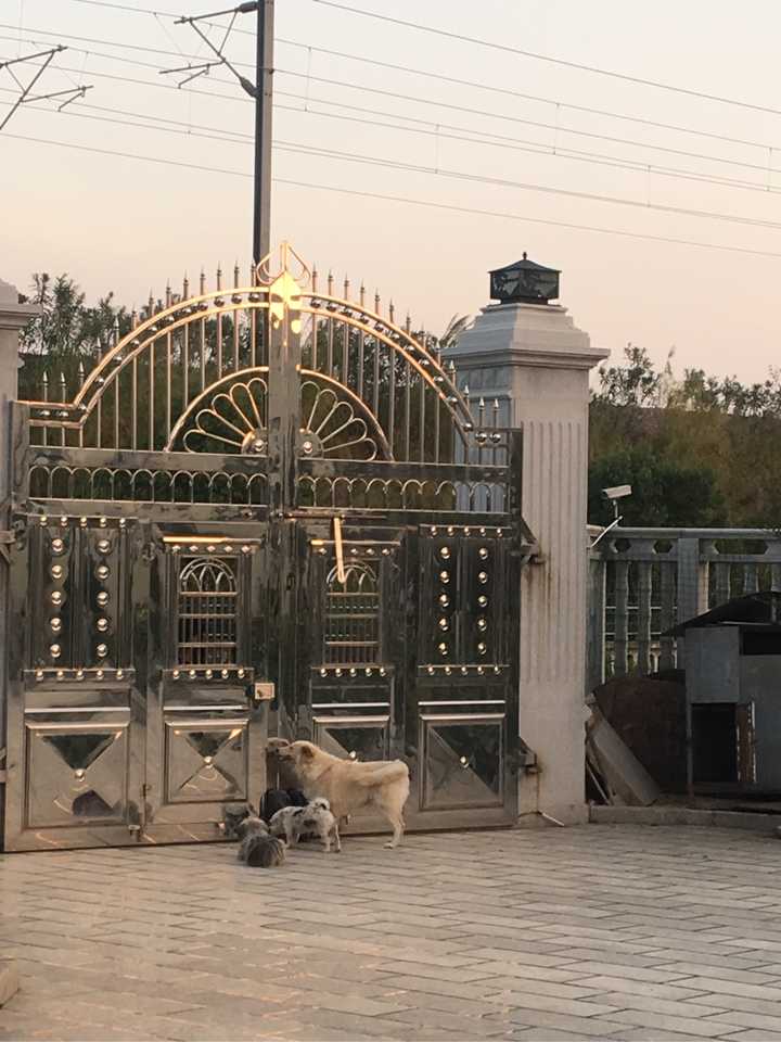 业余少女口交并被猛烈地操